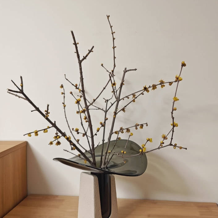 Moderne Glasvasen Dekoration mit Zementsockel im minimalistischen Design
