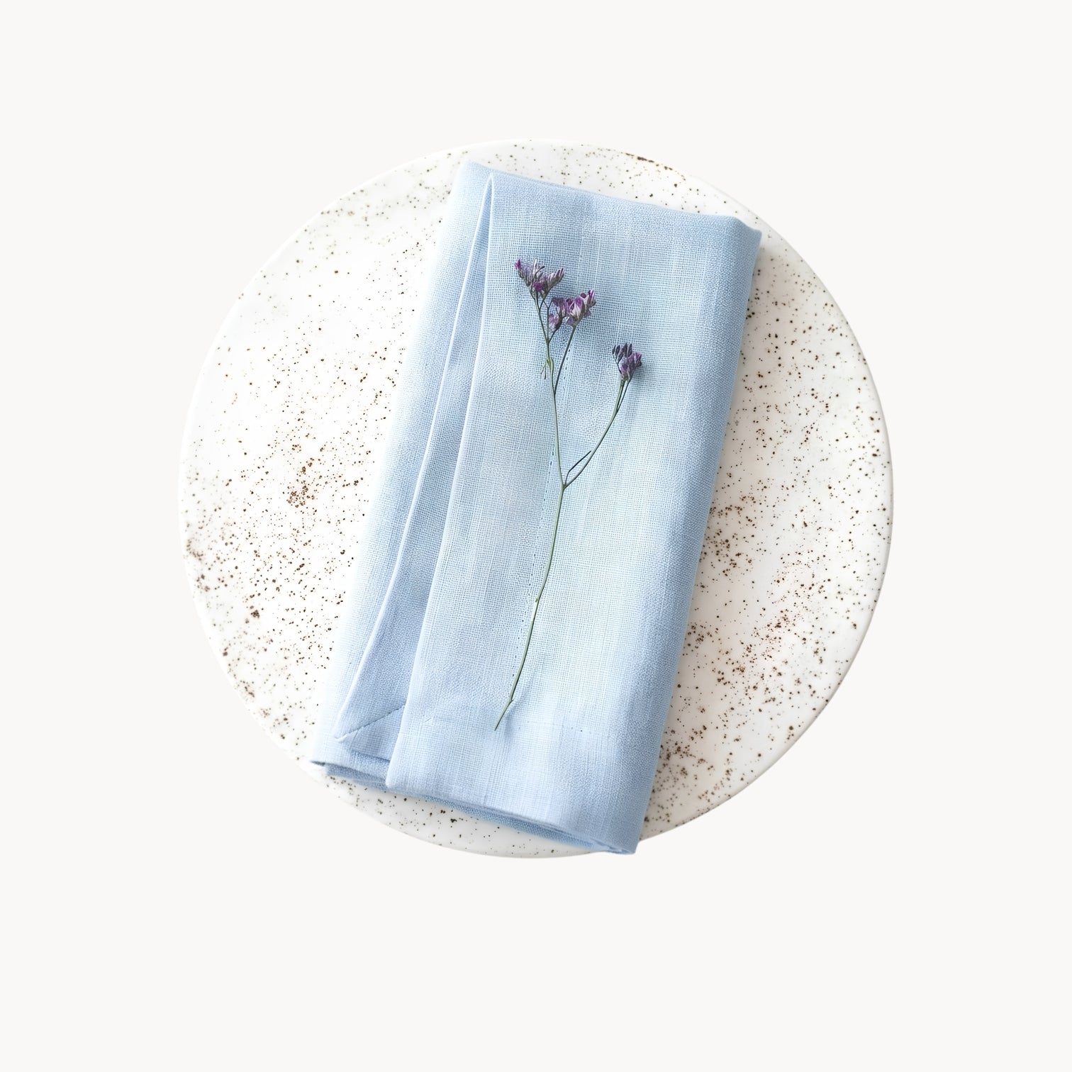 Elegant Ramie Placemat and Napkin Set