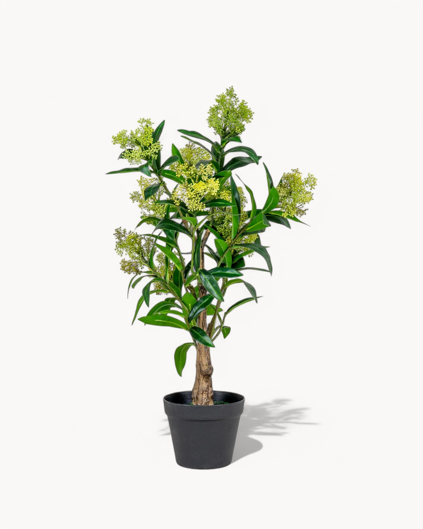 Artificial Skimmia Tree - Green Artificial Plant - 75 cm - PE Plastic