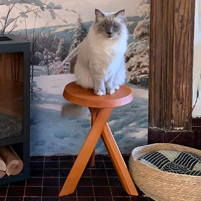 Round Solid Wood Side Table in Mid-Century Style
