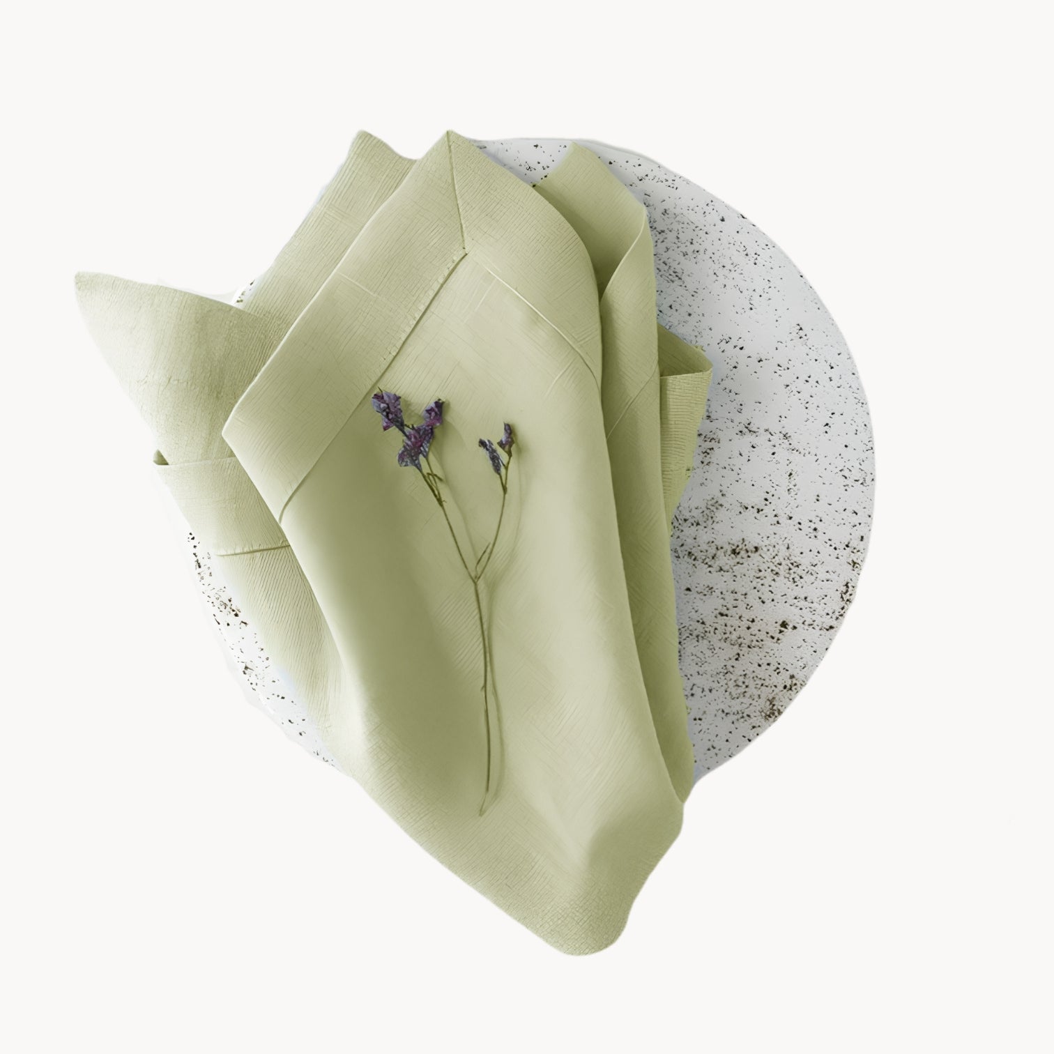 Elegant Ramie Placemat and Napkin Set