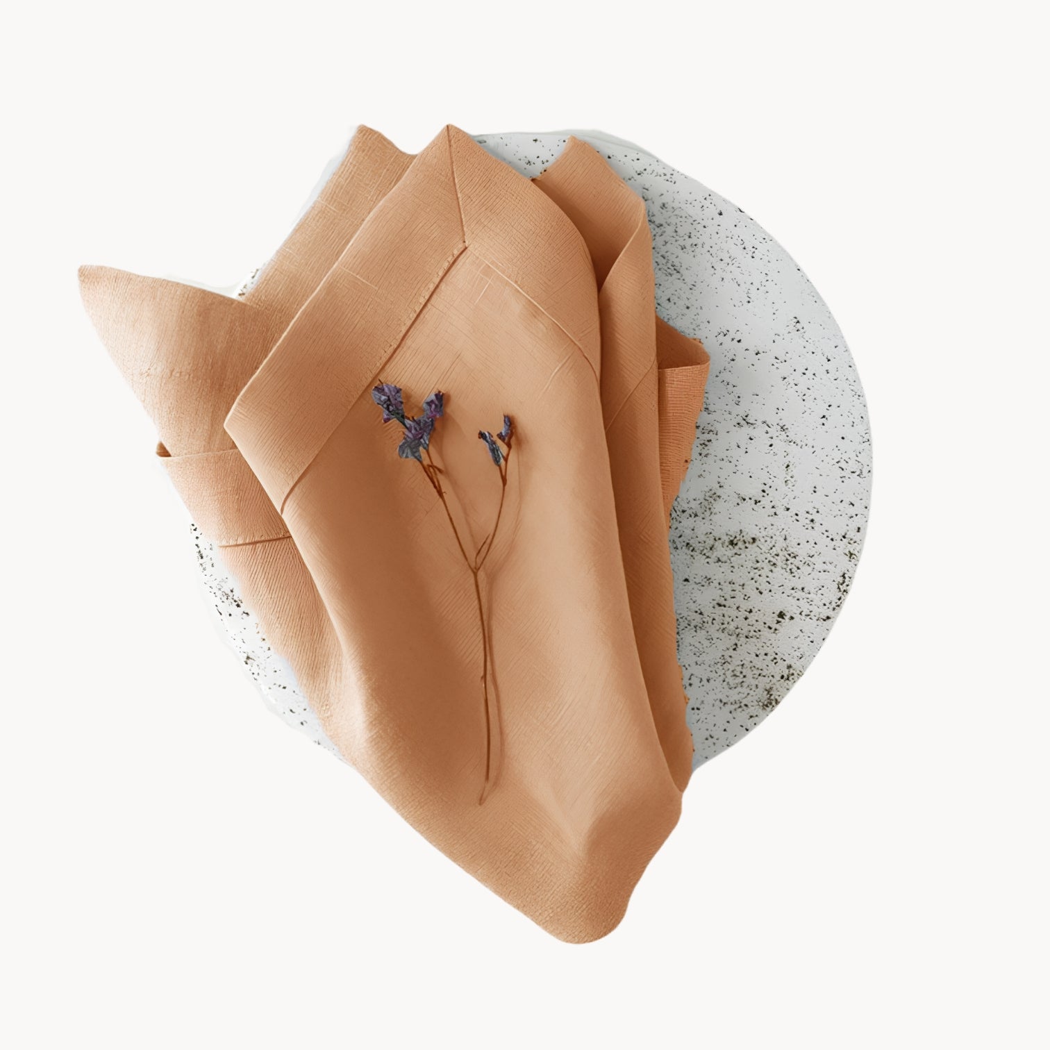 Elegant Ramie Placemat and Napkin Set