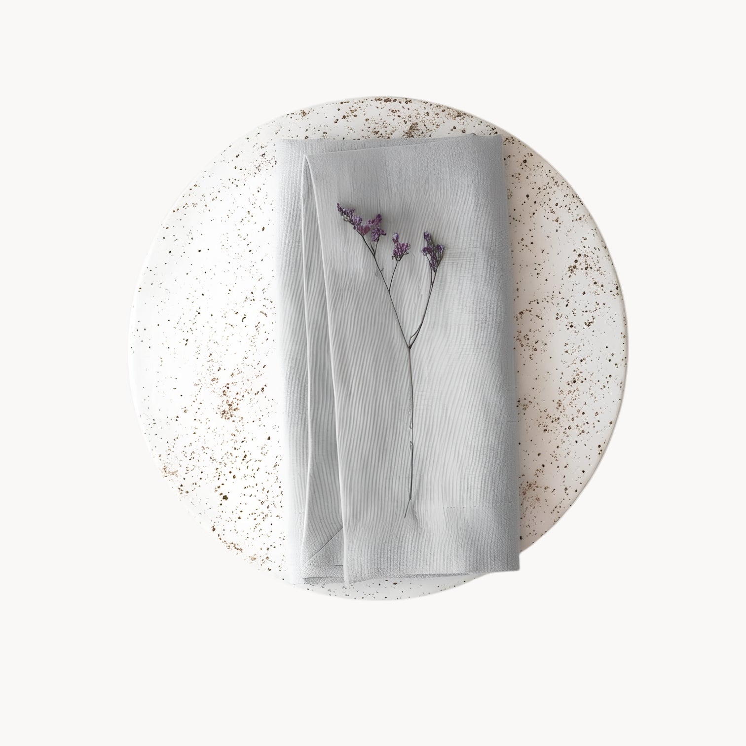 Elegant Ramie Placemat and Napkin Set