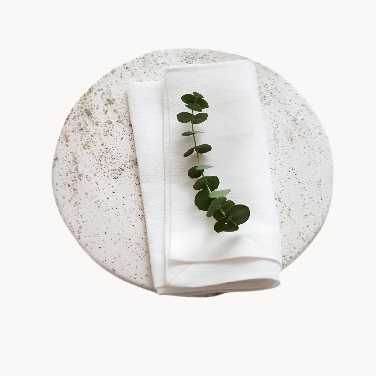 Elegant Ramie Placemat and Napkin Set