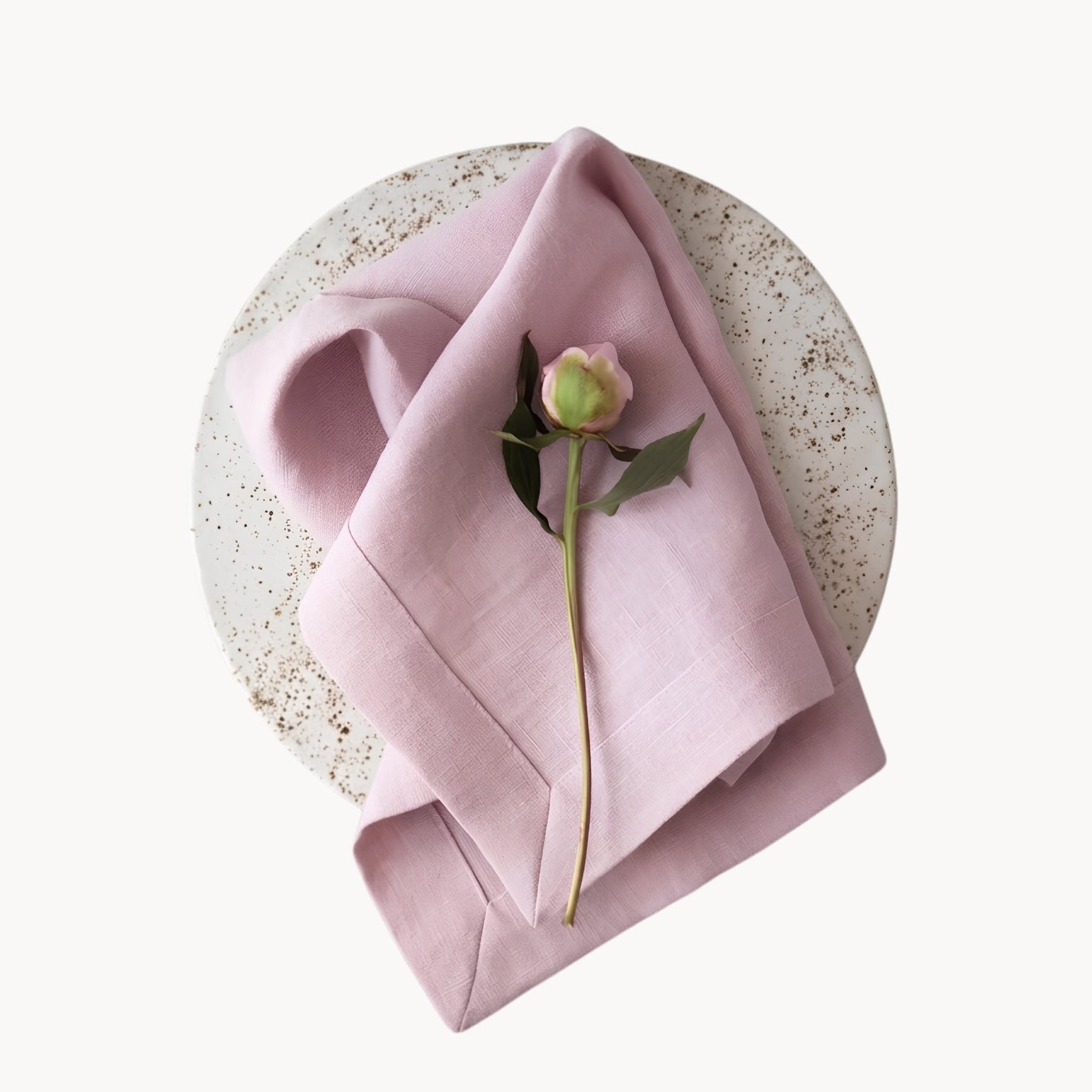 Elegant Ramie Placemat and Napkin Set