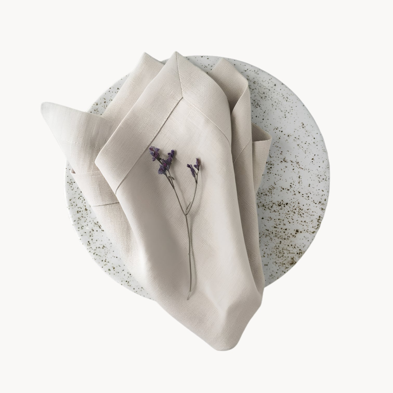 Elegant Ramie Placemat and Napkin Set