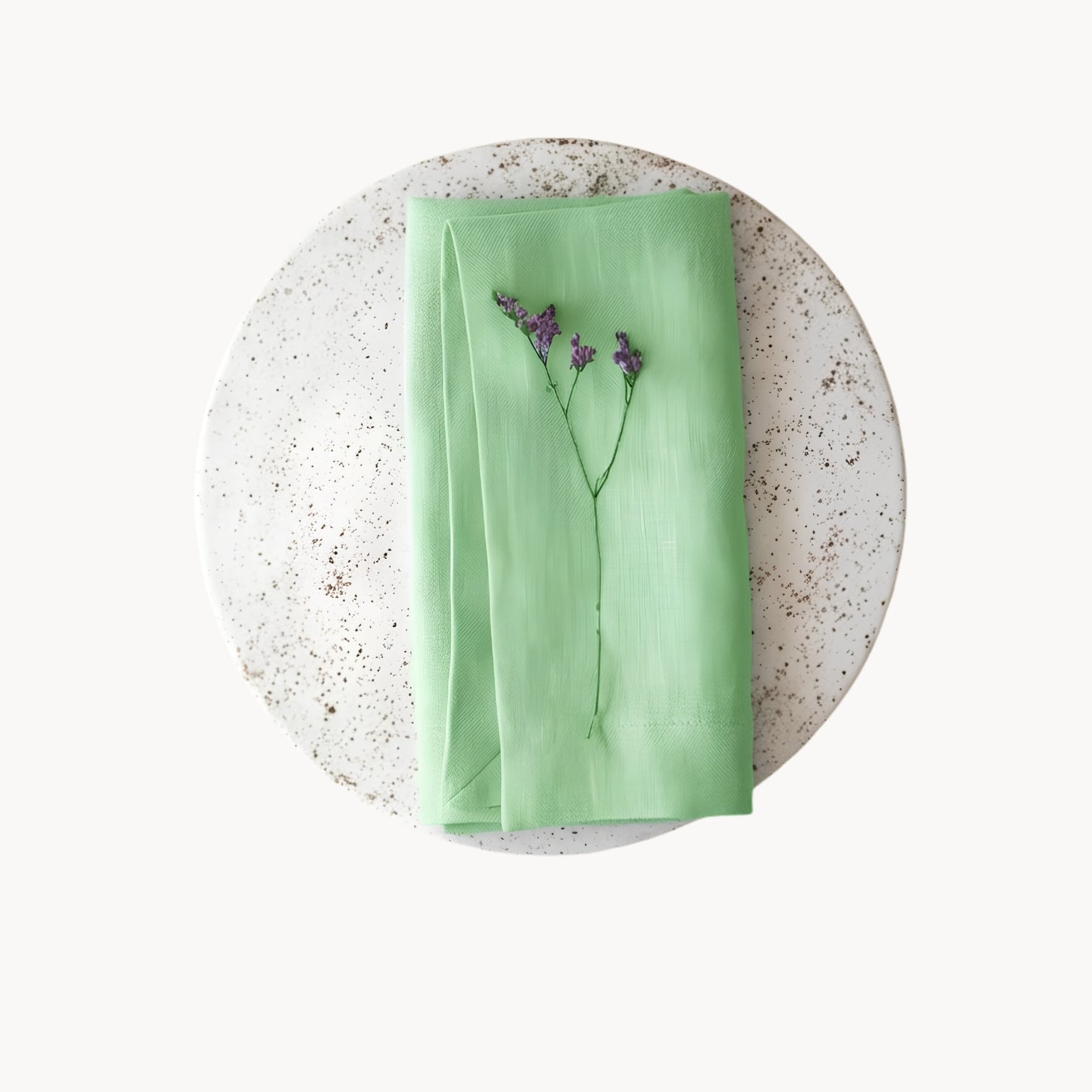 Elegant Ramie Placemat and Napkin Set
