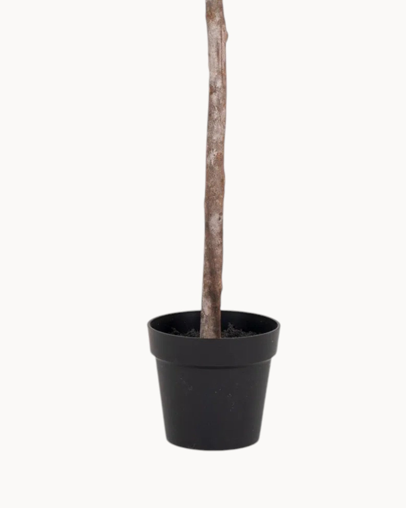 Artificial Olive Tree - Green - 120 cm - Decorative Tree for Interiors