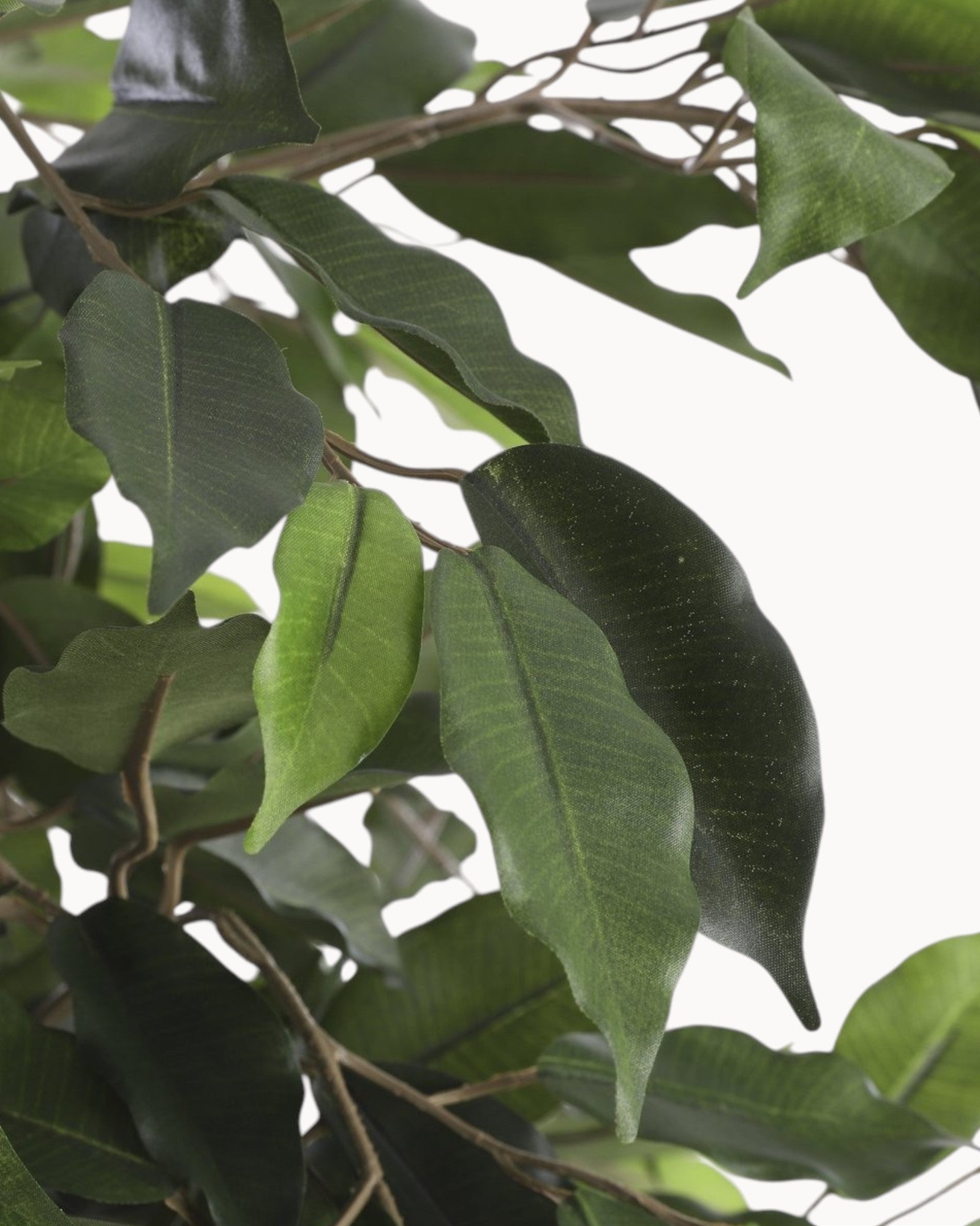 Mica Decorations Ficus Flair – Artificial Plant H110 x Ø65 cm Green