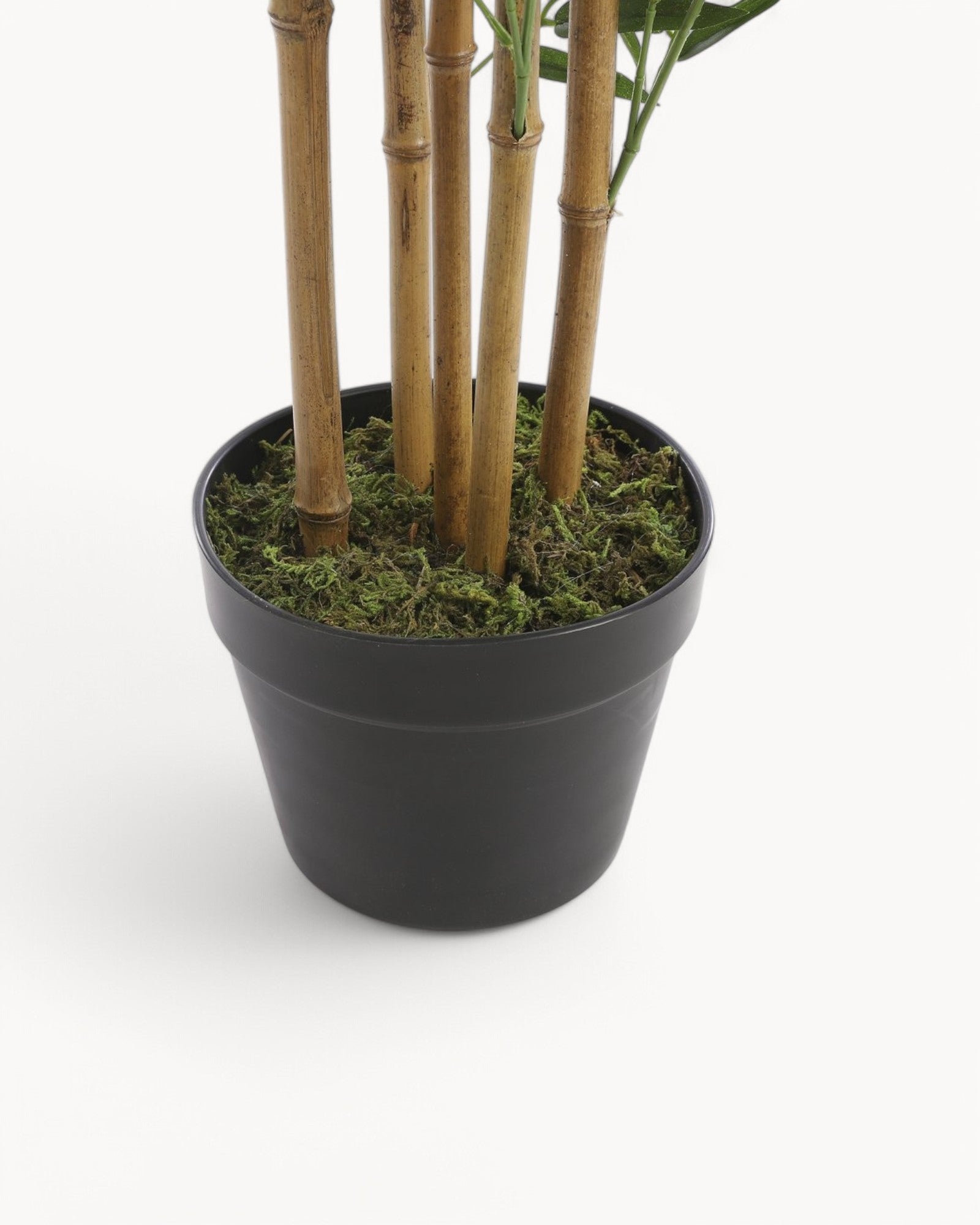 Mica Decorations - Artificial Bamboo Plant 155 cm - Carefree