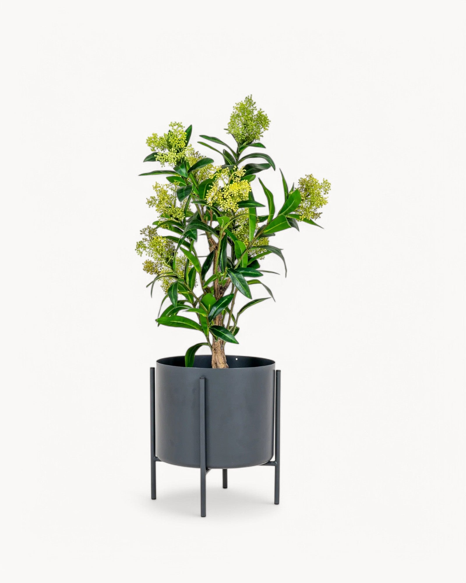 Artificial Skimmia Tree - Green Artificial Plant - 75 cm - PE Plastic