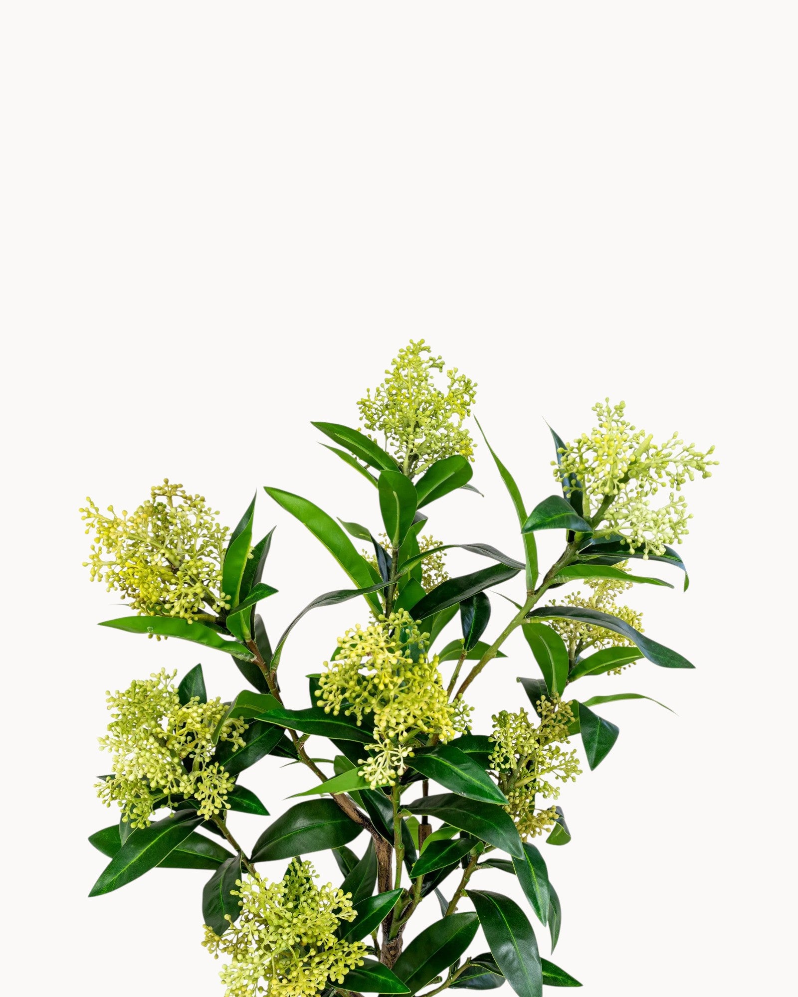 Artificial Skimmia Tree - Green Artificial Plant - 75 cm - PE Plastic