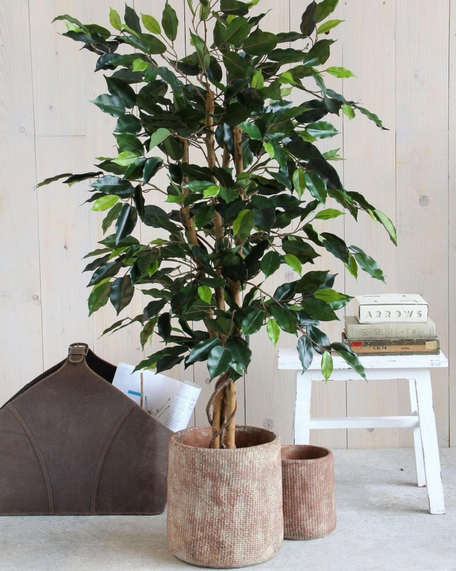 Mica Decoraties Ficus Flair - Kunstplant H110 x Ø65 cm Groen