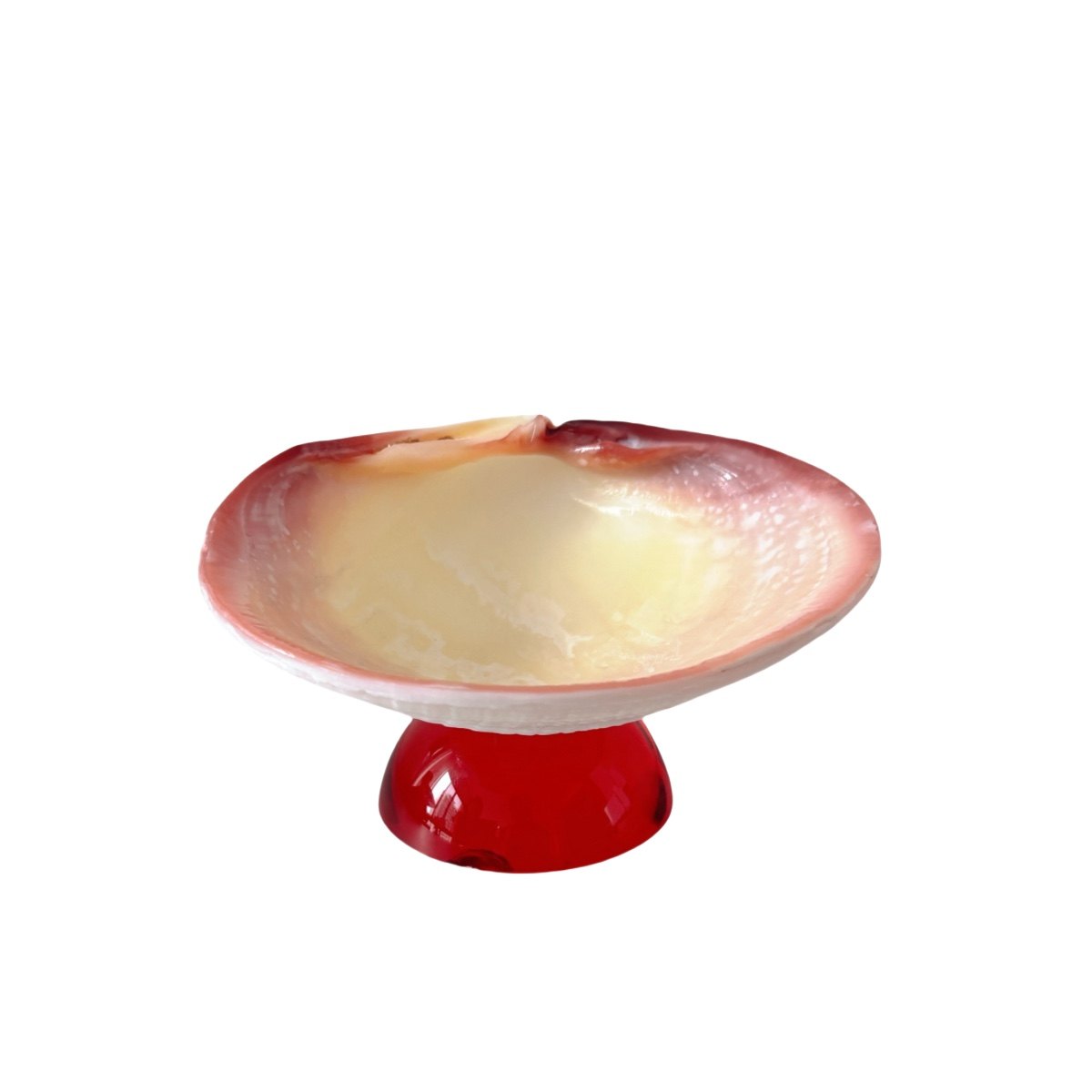 Natuurlijke Schelp Sieraden Schaal met Glazen Basis – Decoratieve Schaal in Organisch Design