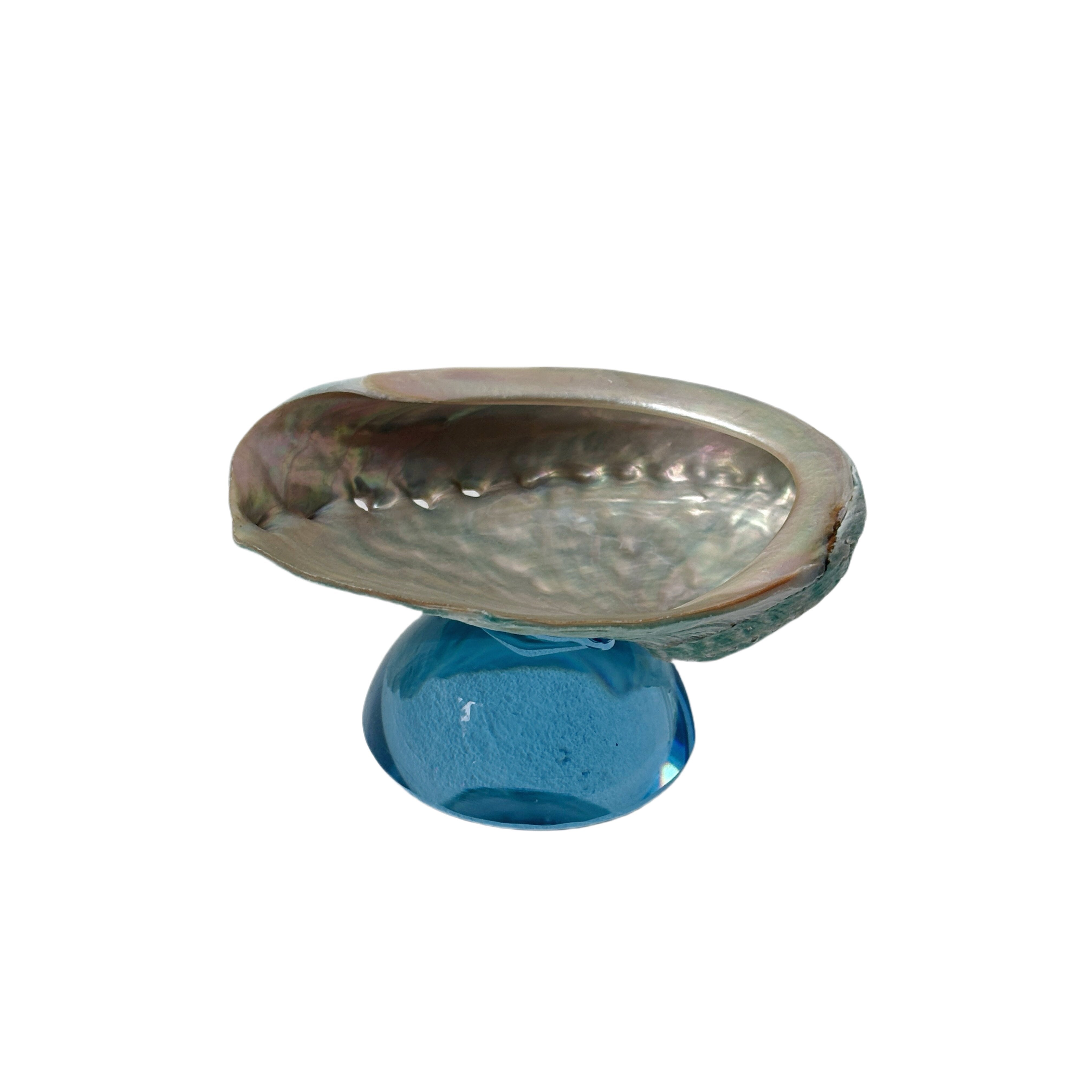 Natuurlijke Schelp Sieraden Schaal met Glazen Basis – Decoratieve Schaal in Organisch Design