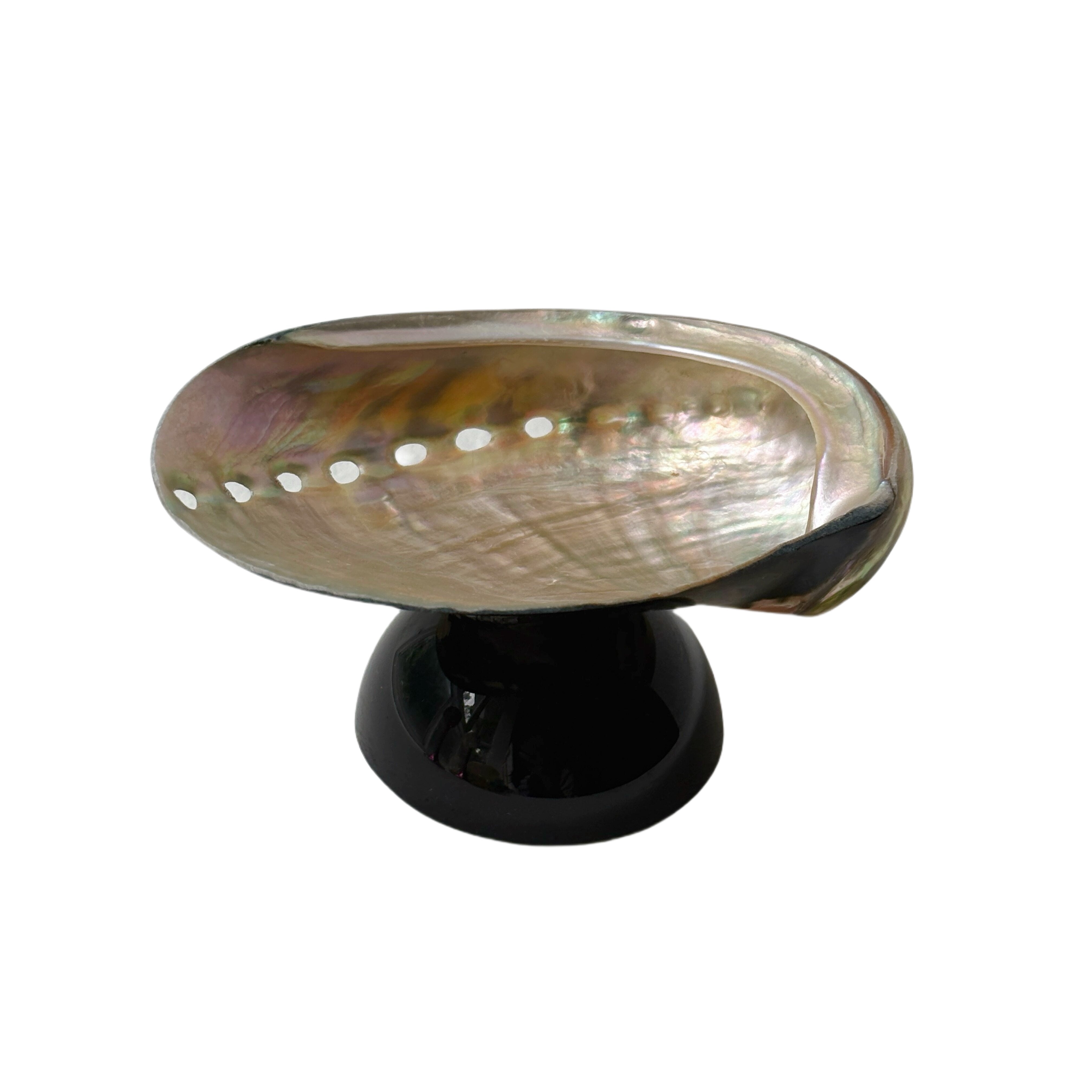 Natuurlijke Schelp Sieraden Schaal met Glazen Basis – Decoratieve Schaal in Organisch Design