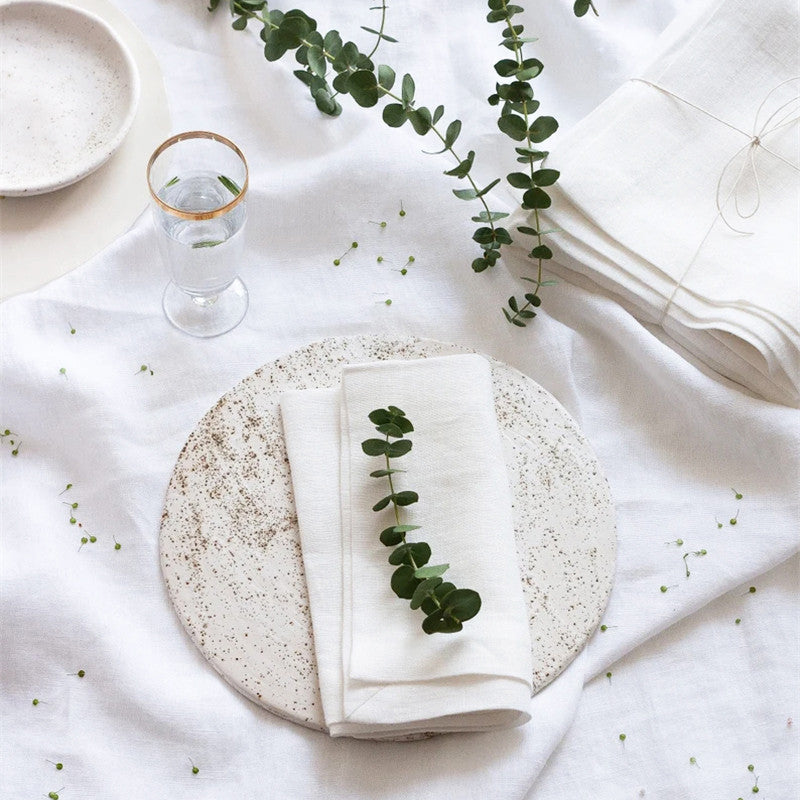 Elegant Ramie Placemat and Napkin Set